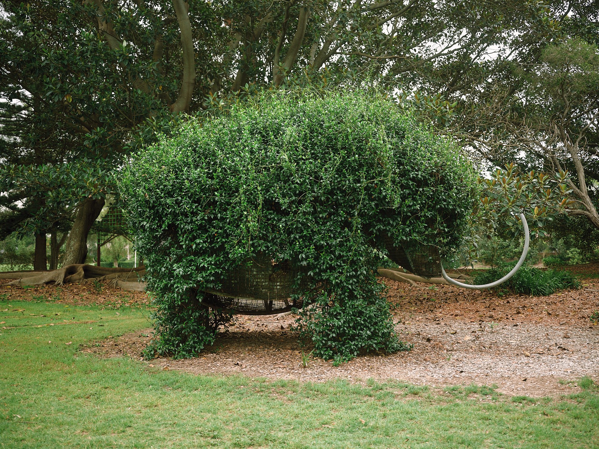 DSCF7095.jpg