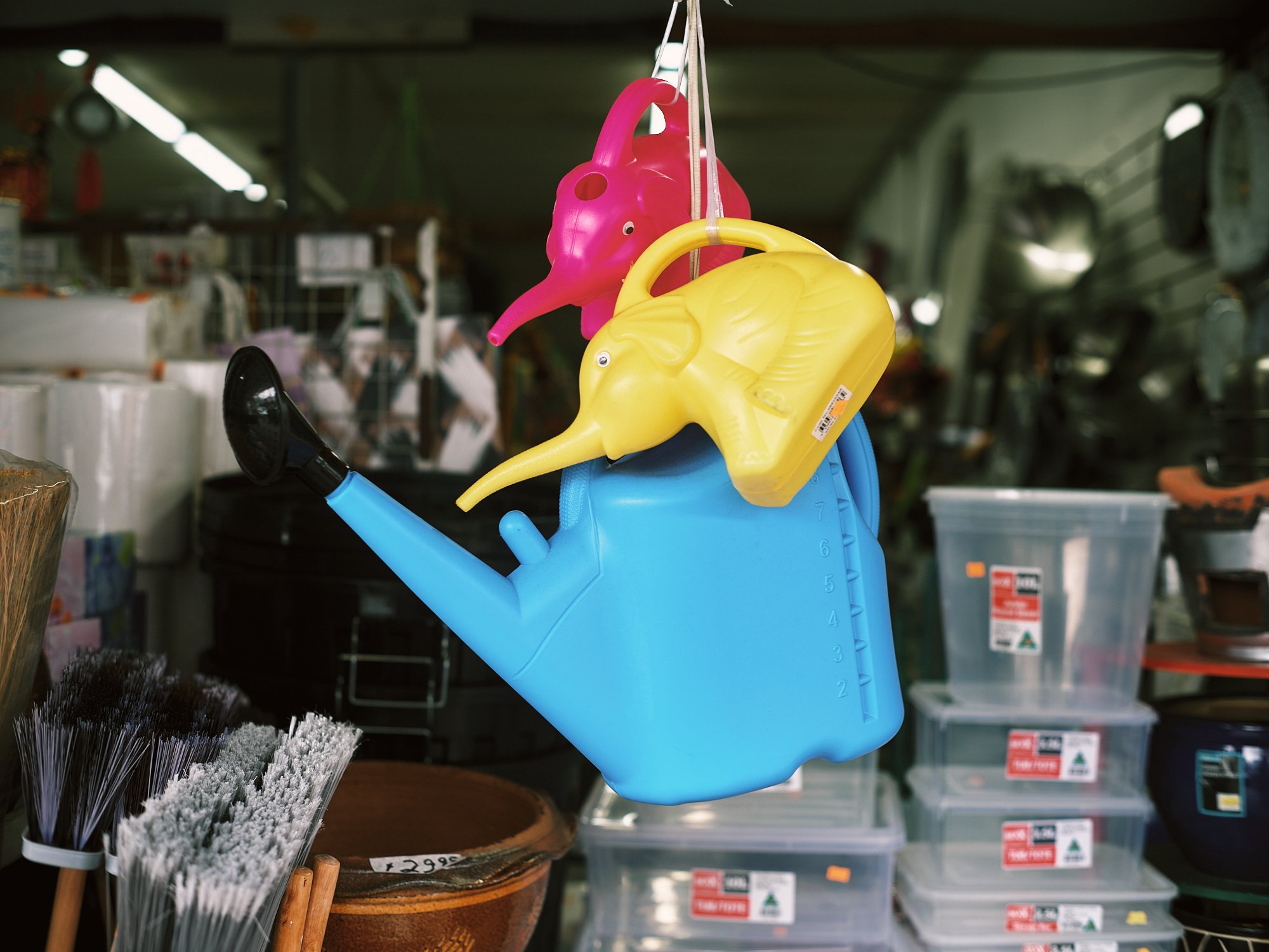 DSCF2969.jpg