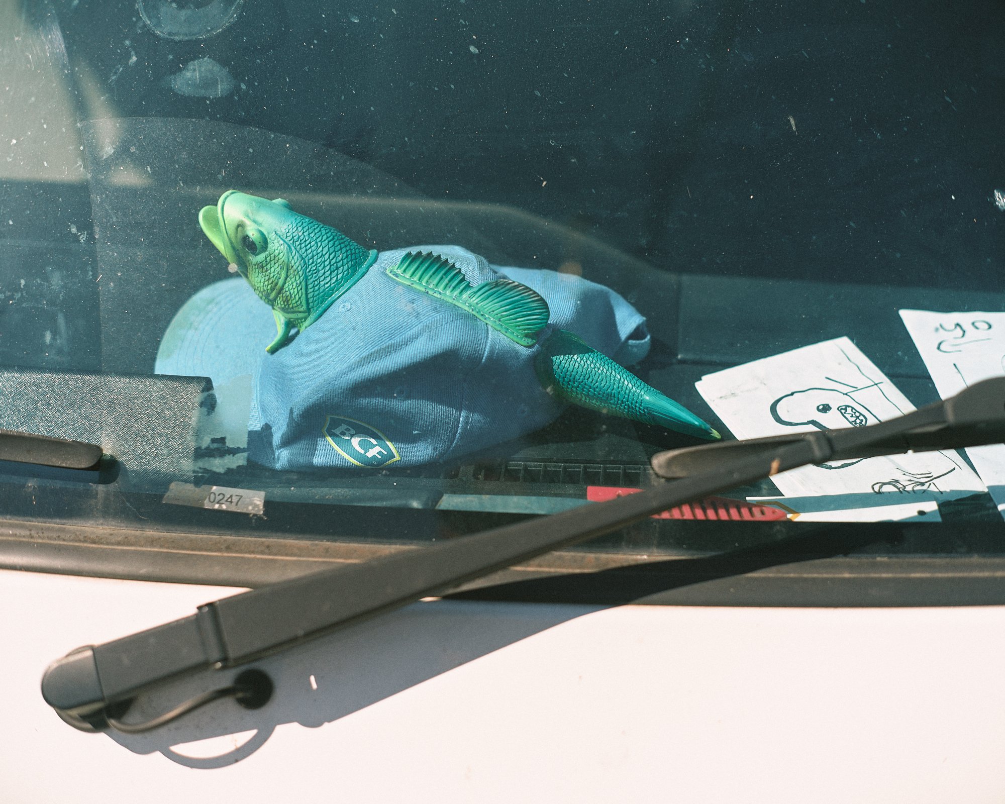 DSCF4643.jpg