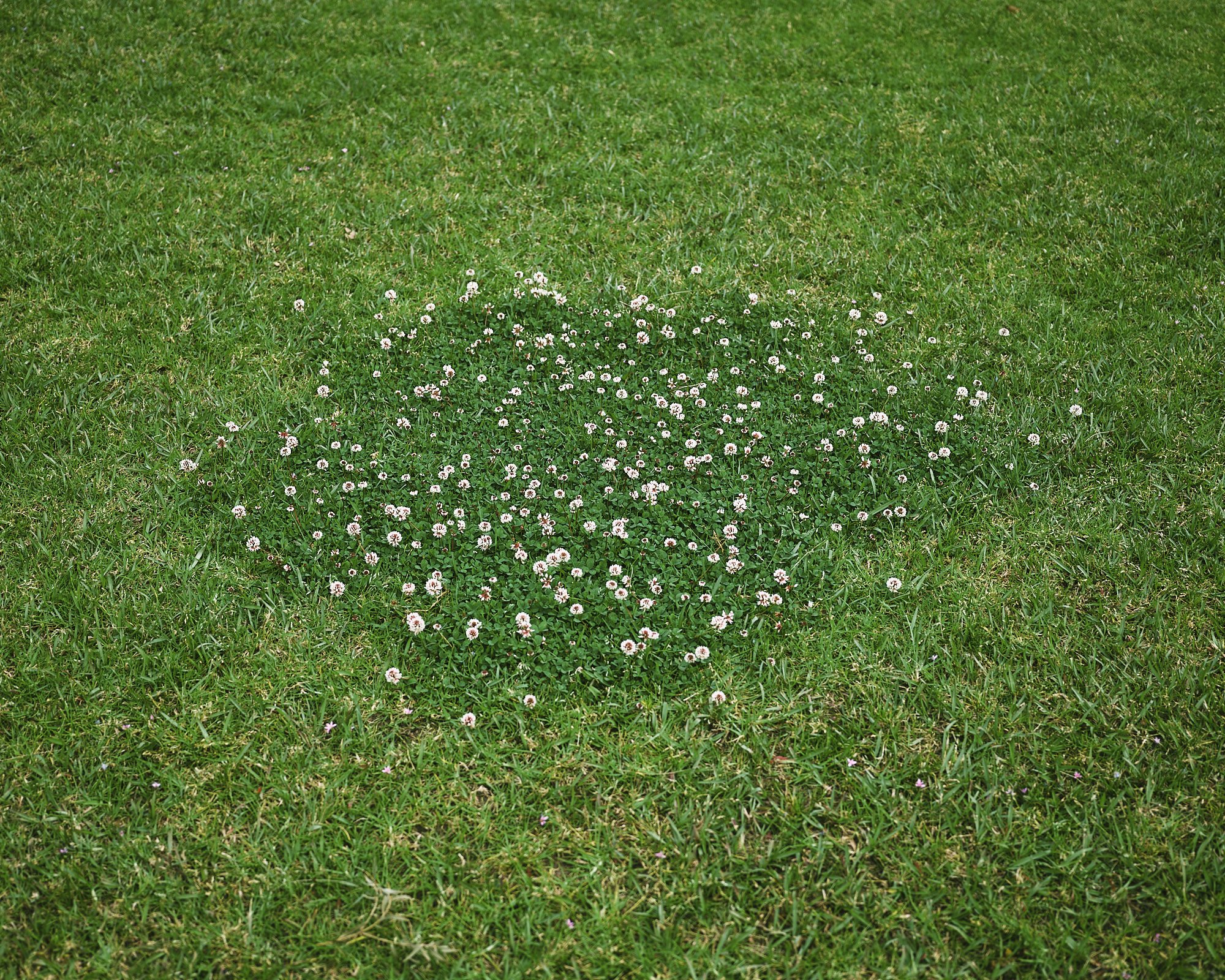 DSCF0236.jpg