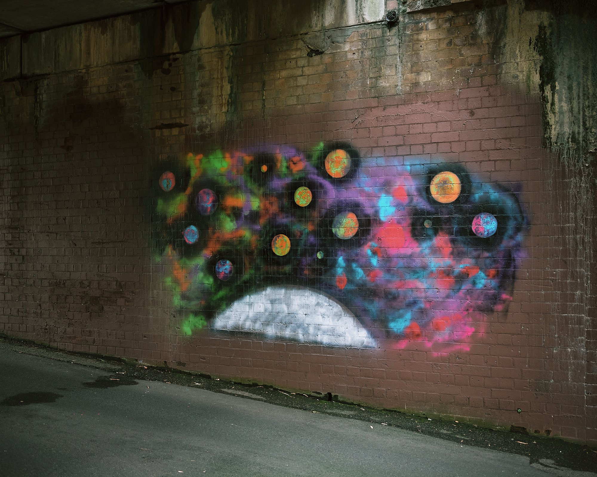 DSCF6015.jpg