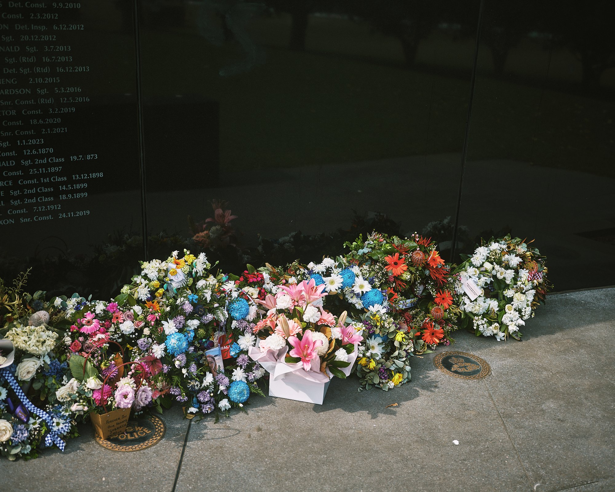 DSCF0783.jpg