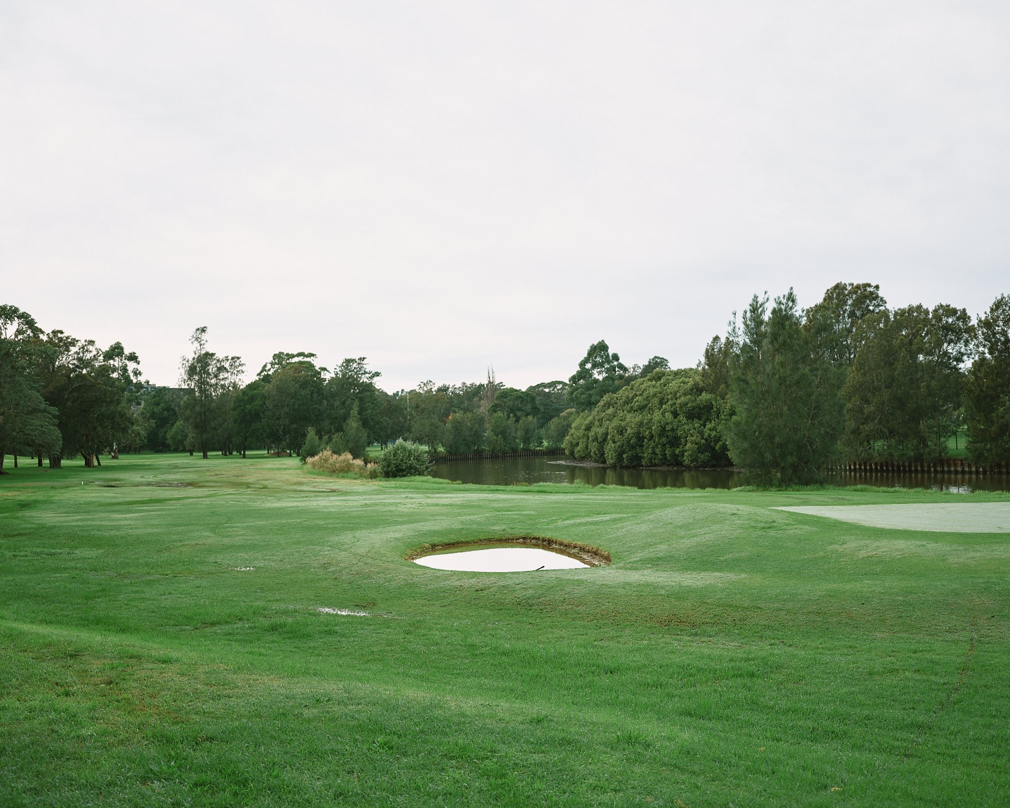 DSCF6005.jpg