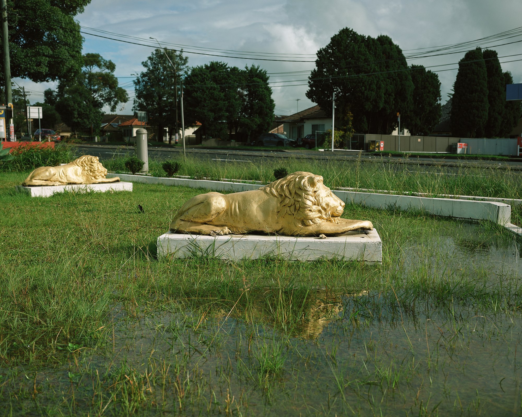 DSCF5908.jpg